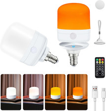 Rechargeable Bulb, 2 Pack